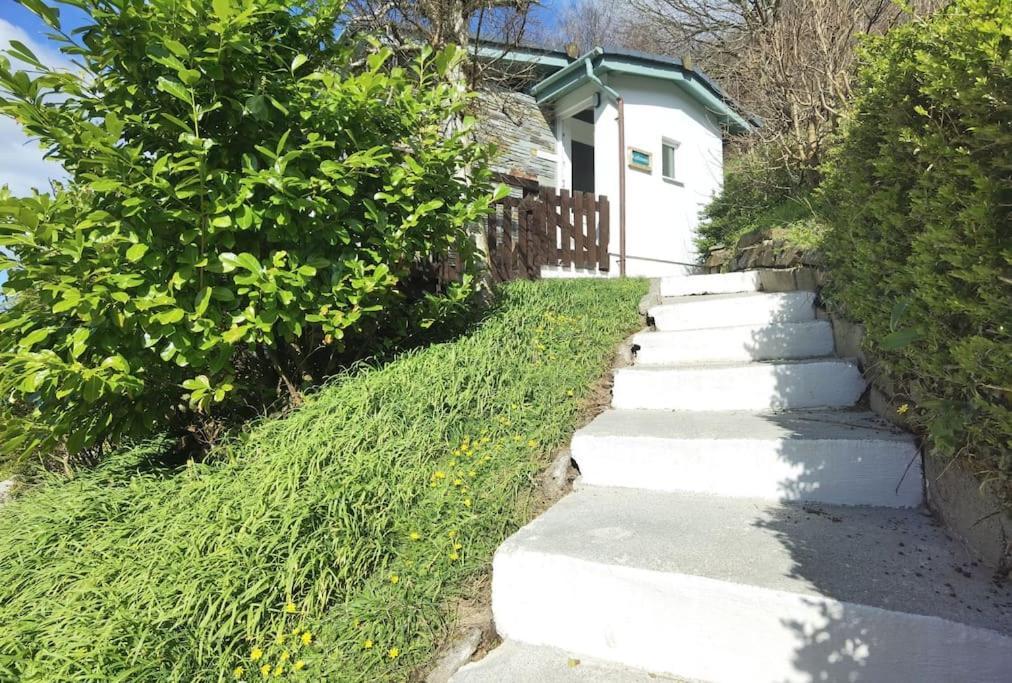 Kallowen Cottage At Crackington Haven, Near Bude And Boscastle, Cornwall מראה חיצוני תמונה